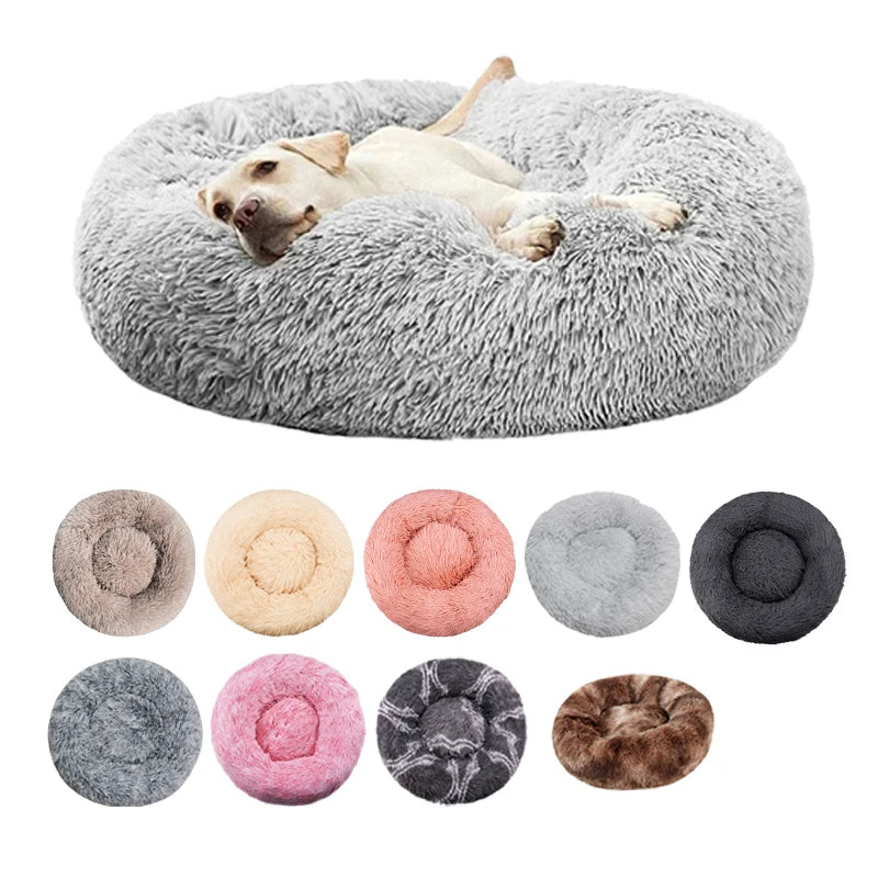 Dog Beds