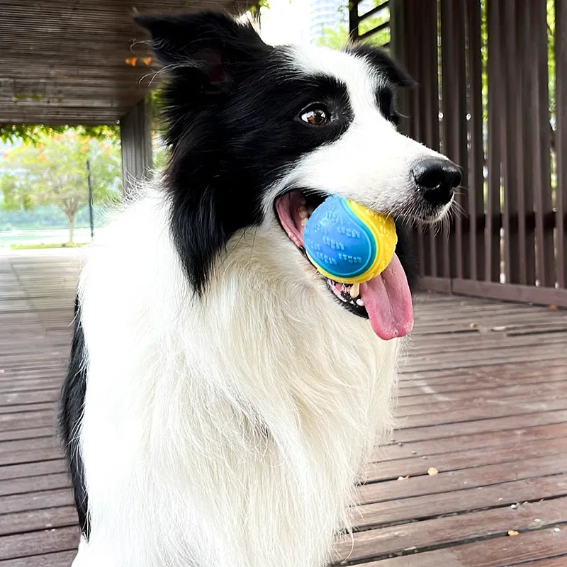 Dogs Interactive Toys Soft TPR Toys for Dog Pet Teeth Cleaning Bite Resistance Squeaky Dog Ball Toy Pet Products Accessories