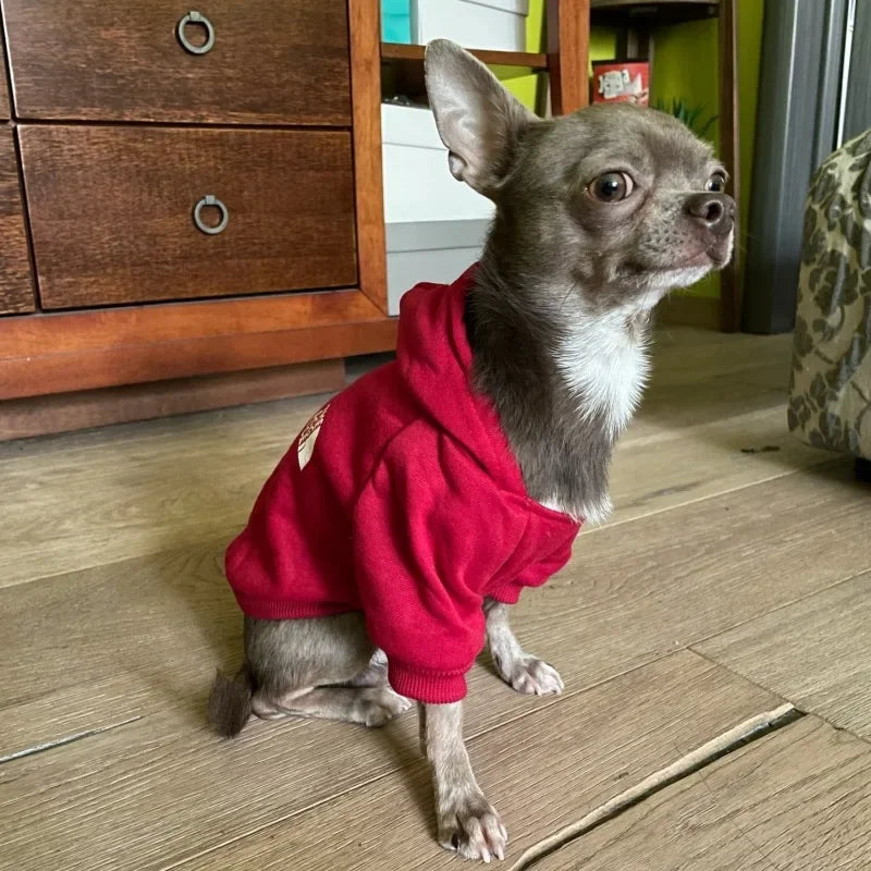 Dog clothes Pet clothes Popular fashion Hoodie Large, medium and small pet clothes Casual warm dog clothes (XS-M)