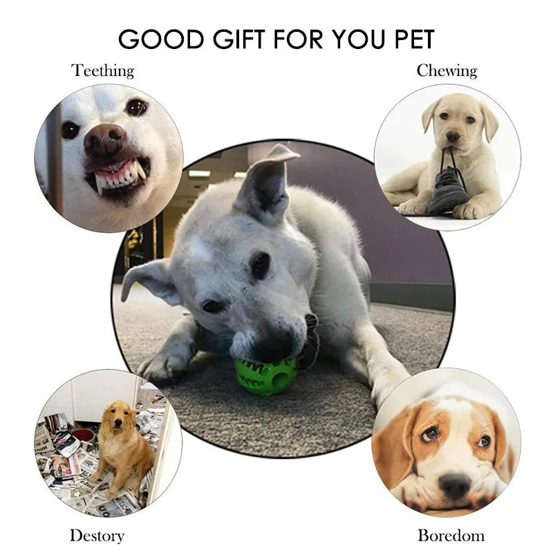 Dog Toy Ball Interactive Rubber Balls Puppy Chewing Toys Pet Tooth Cleaning Ball Cats Pets Food Treat Feeder Silicone Balls Toy. 5 cm - Small Dogs; 7 cm - Medium Dogs