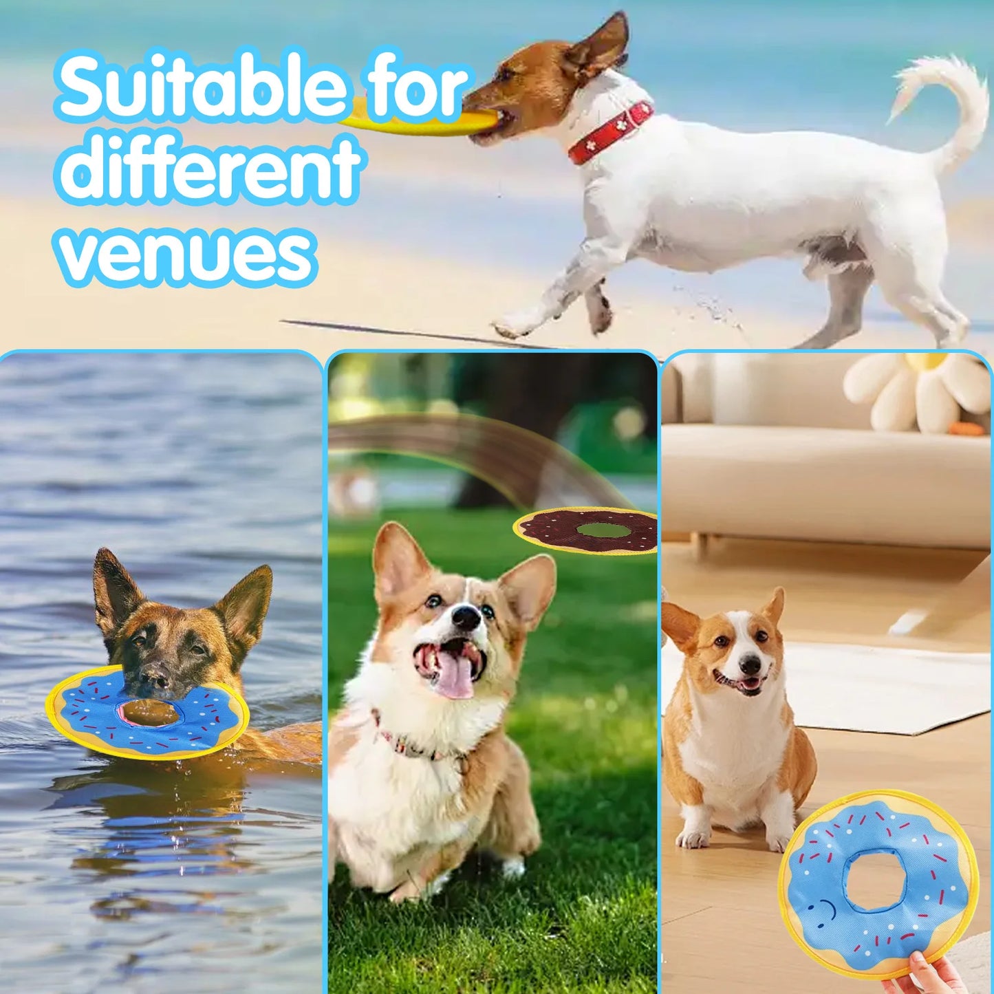 Dog donuts, noisy paper toys, outdoor interactive, squeaking sound, bite resistant, suitable for small and medium-sized dogs
