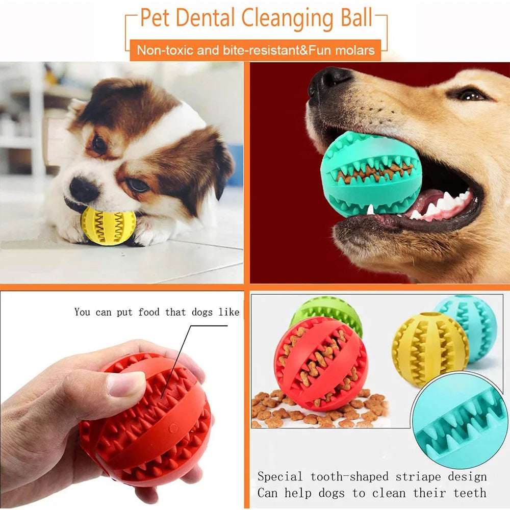 Dog Toy Interactive Rubber Dog Ball Toys for Dogs Puppy Cat Chewing Toys Funny Pet Tooth Cleaning Snack Ball Toy Pet Products